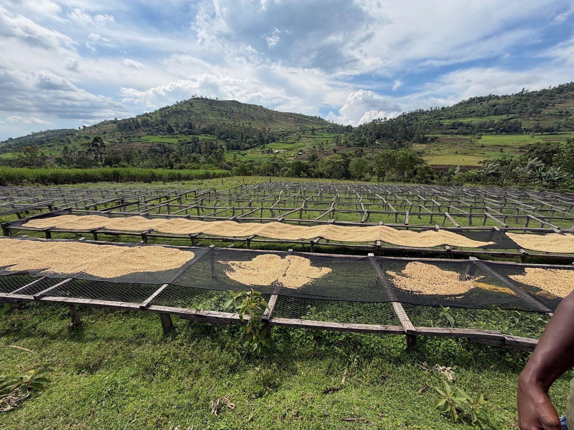 Morceau Farms · IMG 4189