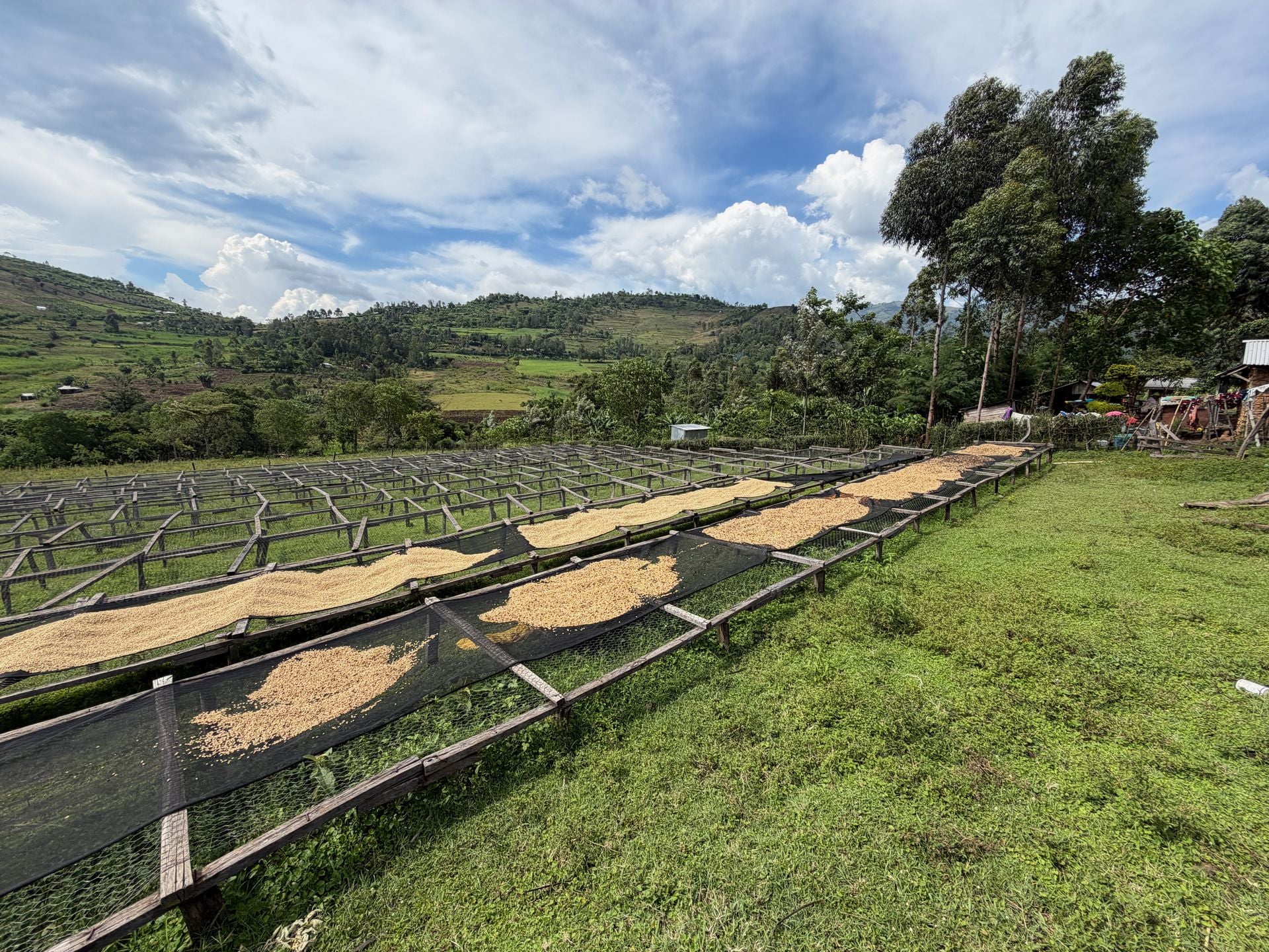 Morceau Farms · IMG 4190