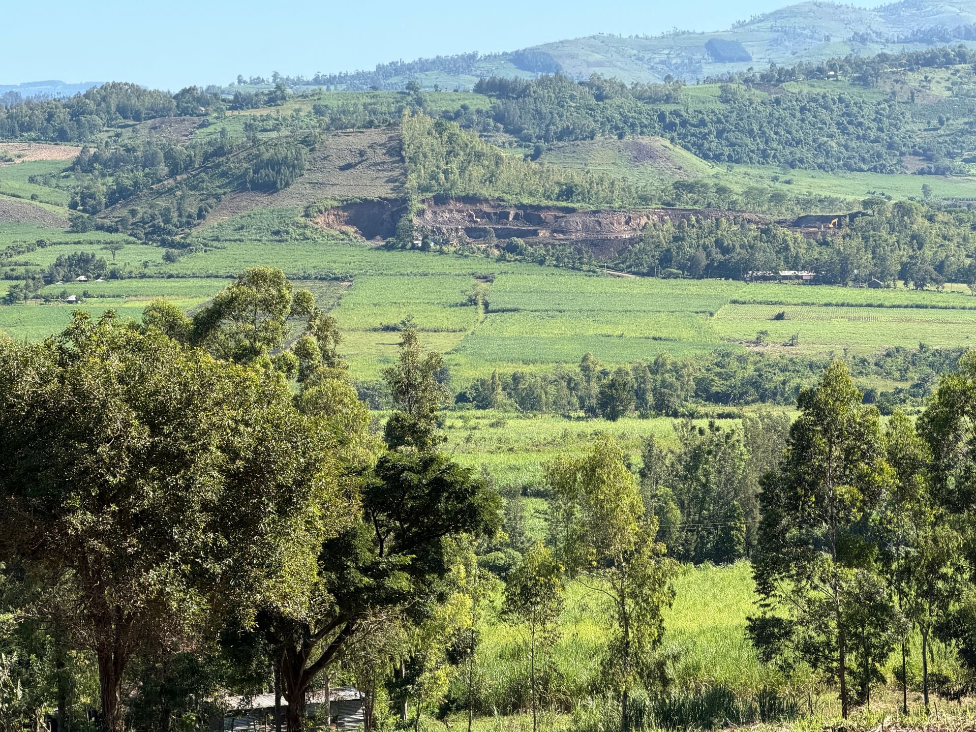 Morceau Farms · IMG 4231