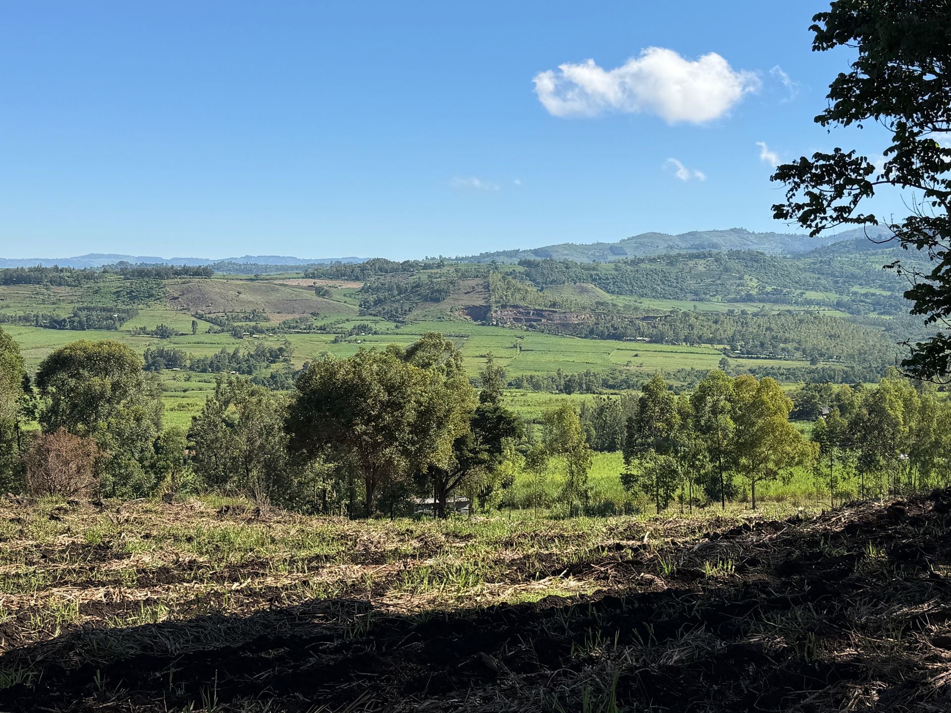 Morceau Farms · IMG 4232