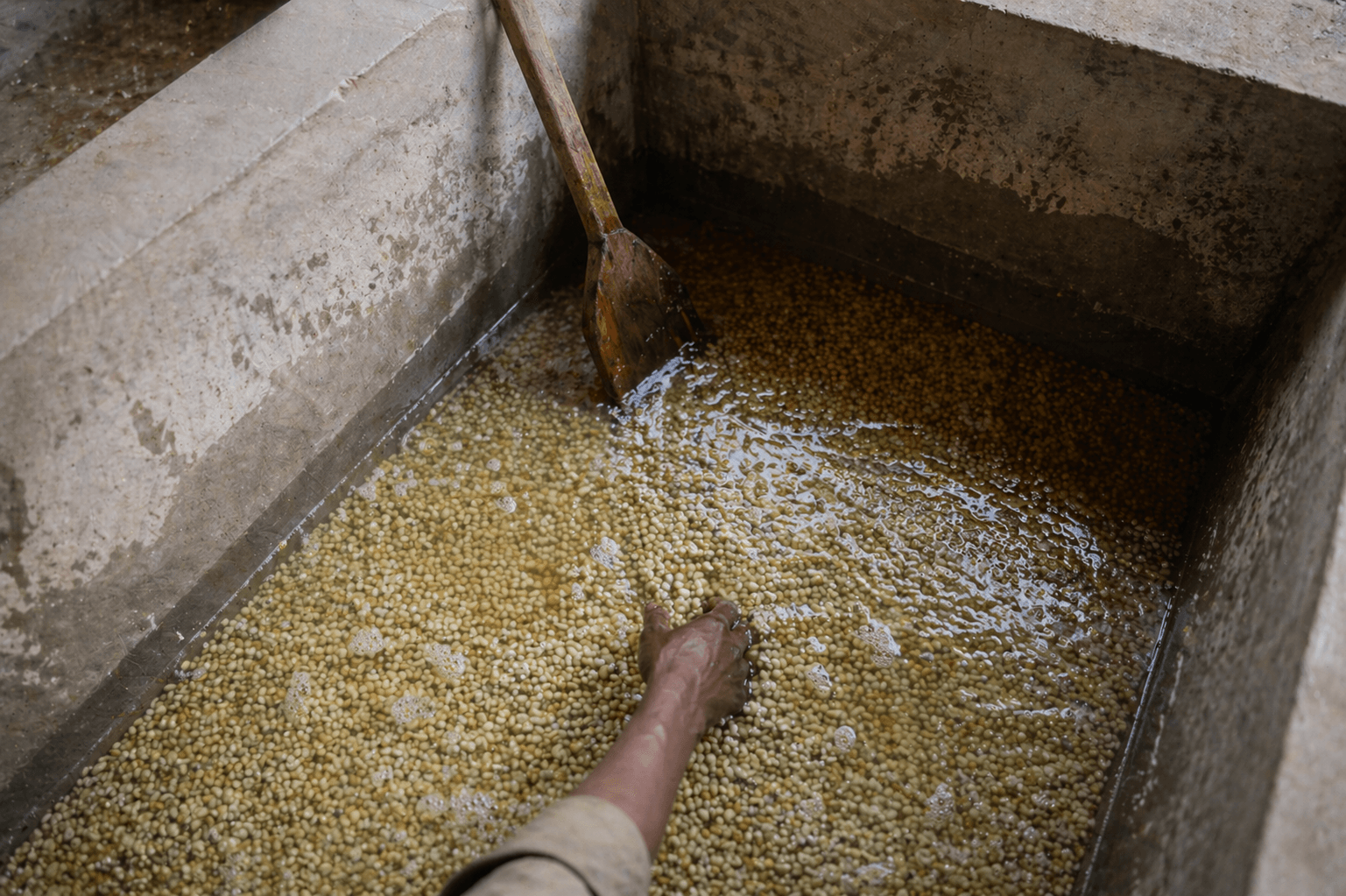 Ferment · step 04